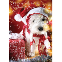 Christmas Card Santa Maltipoo