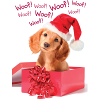 Christmas Card Santa Puppy Woof